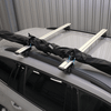 Transport bag Thule SkiClick 7295 Bag