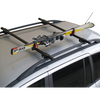 Ski carrier Ski Rack