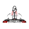 Bike carrier Hapro Atlas SmartFold II