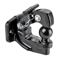 Hook coupling with integrated ball head Hook coupling with integrated ball head