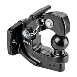 Hook coupling with integrated ball head