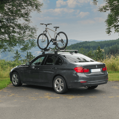 Roof bike carrier ProRide 598
