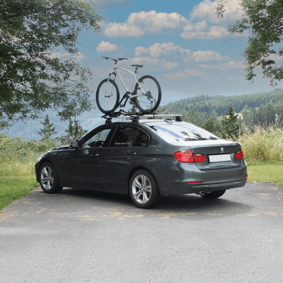 Roof bike carrier ProRide 598