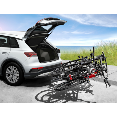 Bike carrier Eufab Amber 3