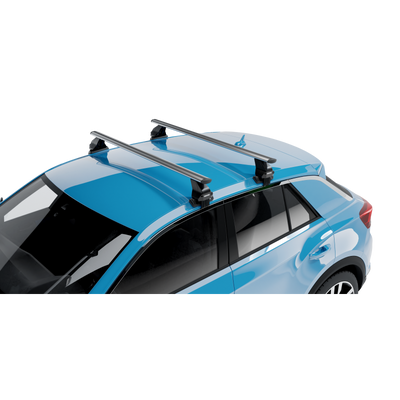 Roof rack Menabo Omega Plus